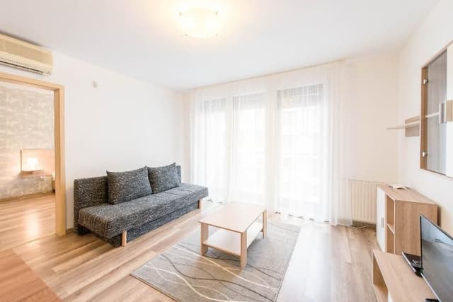 APARTMENT CAPACITY 1
