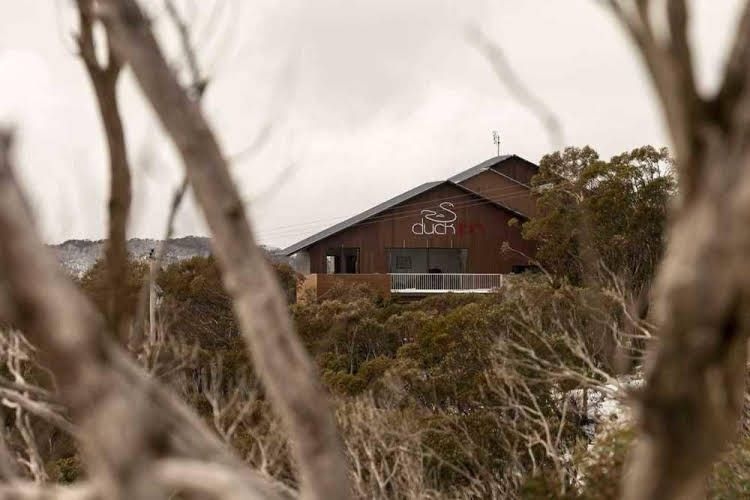 Duck Inn Mt Buller3