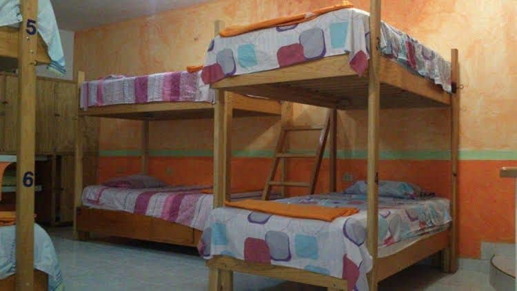 Amigos Hostel Cozumel Amigos Hostel Cozumel