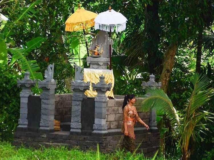 เดอะ ไวท์ วิลล่า อูบุด (The White Villas Ubud)1