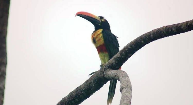 La Cusinga Lodge4