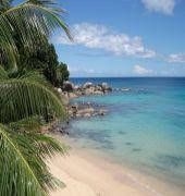 Bliss Sea-Side0