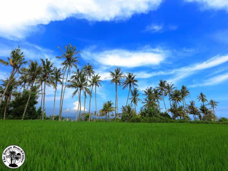 The Garga Beach Villas The Garga Beach Villas