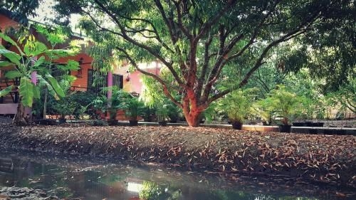 วรากรบ้านสวน อัมพวา (Warakorn Baansuan Amphawa)0