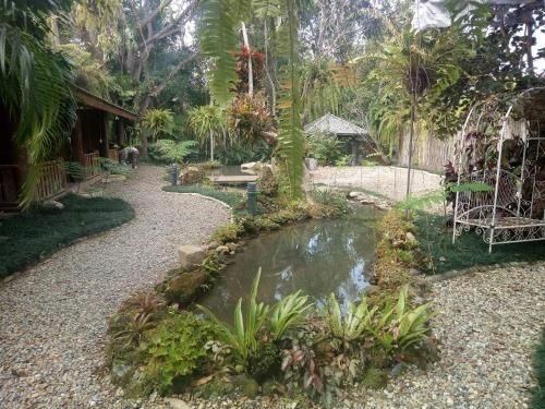 PalladaGarden&Resortสวนปัลลดา (Pallada Bromeliads Garden and Resort)3