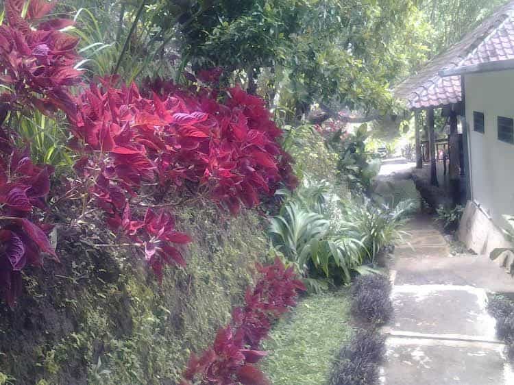 Bali Rahayu Homestay Bali Rahayu Homestay