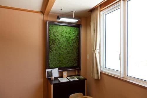 Japanese-Style Room with Shared Bathroom and Mountain View - Non-Smoking