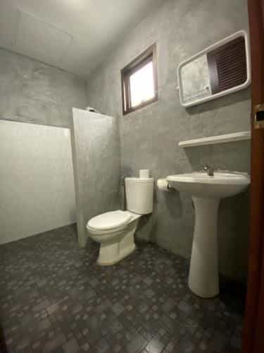 Studio 77 Studio 77