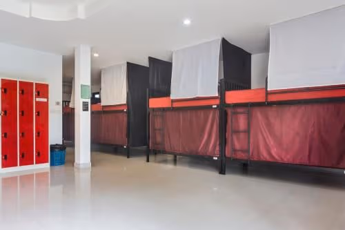 Bunk Bed in Mixed Dormitory Room