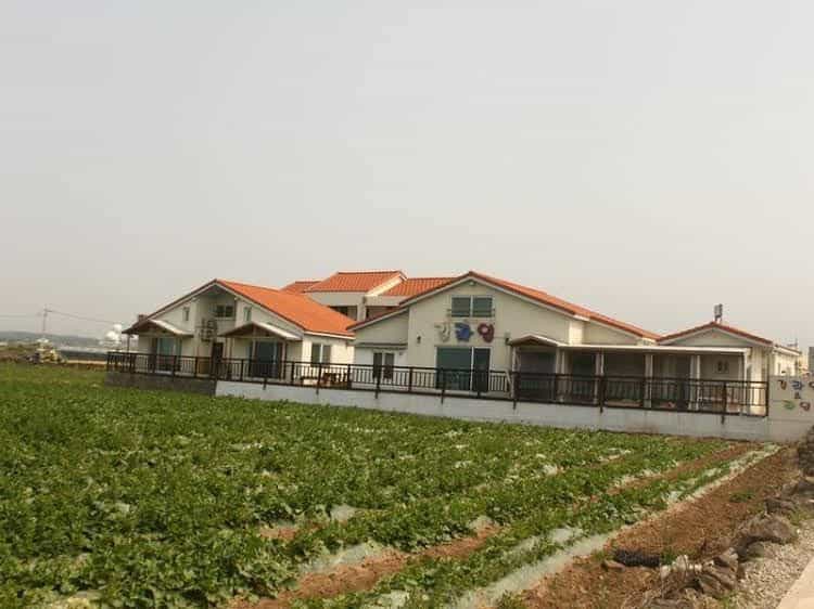 Jeju Gillime Pension Jeju Gillime Pension