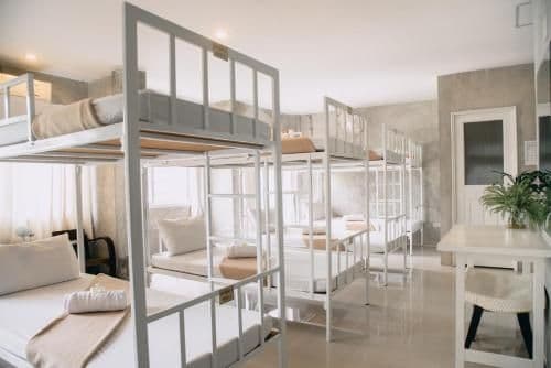 Bed in 10-Bed Mixed Dormitory Room
