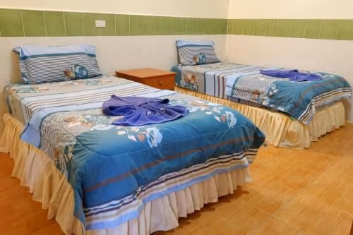 Deluxe Double or Twin Room with Air-condition