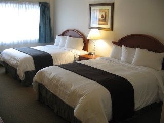 Best Western at the Meadows3