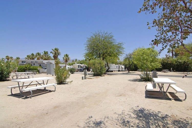 Palm Canyon RV Resort3