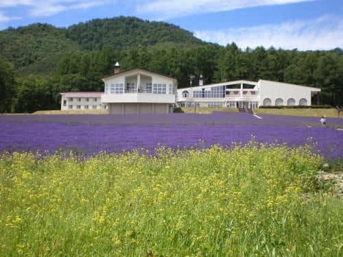Highland Furano Highland Furano