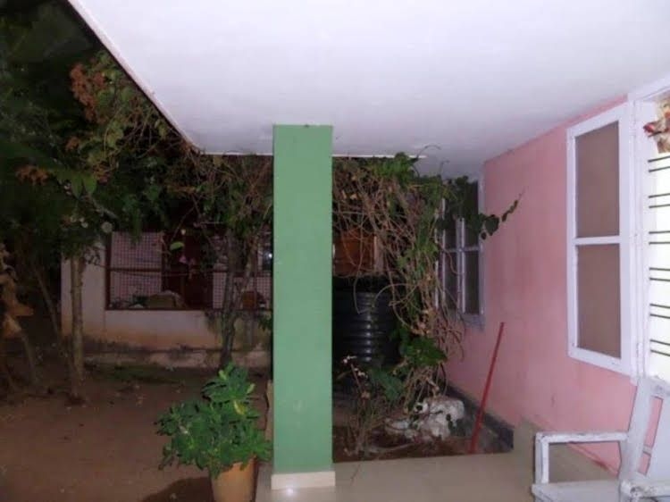 Hotel Palm Garden2