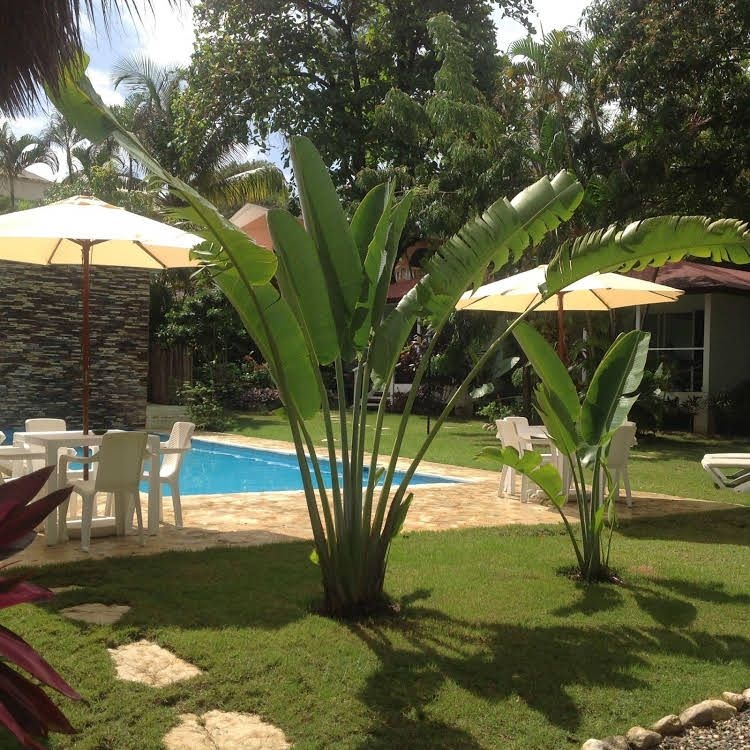 Bungalow Natura Village0