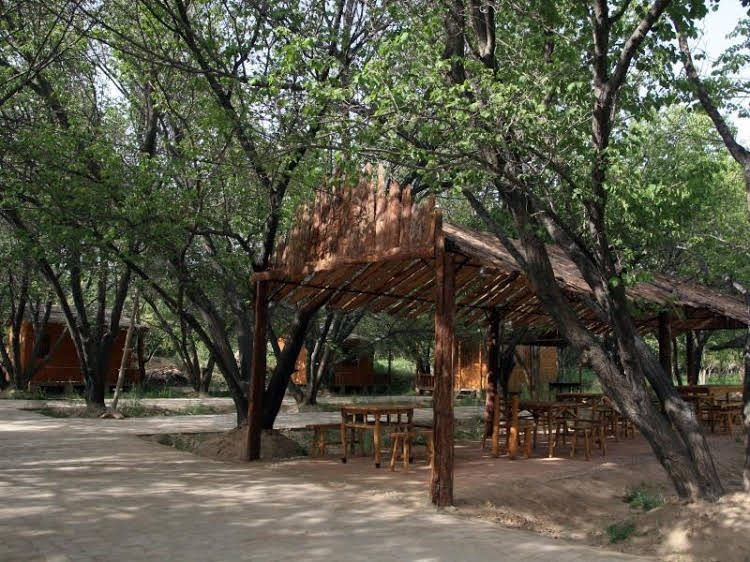 Dunhuang 1001 Reading Inn2