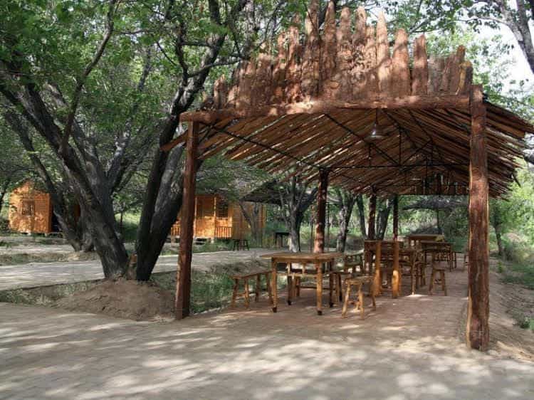 Dunhuang 1001 Reading Inn