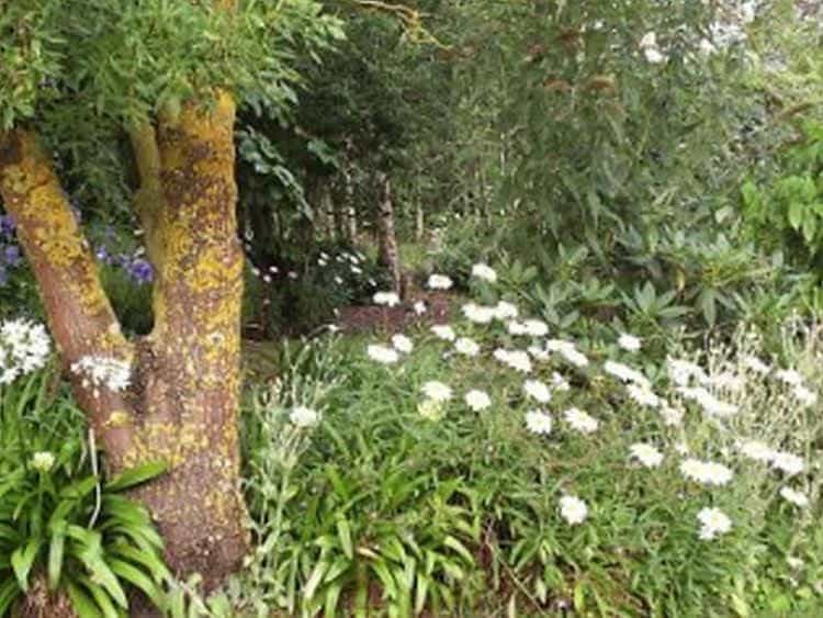 Springbank Bed & Breakfast Retreat