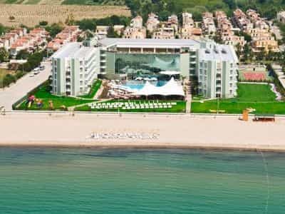 Grand Belish