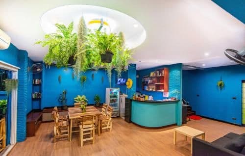 BGW Phuket Hostel BGW Phuket Hostel