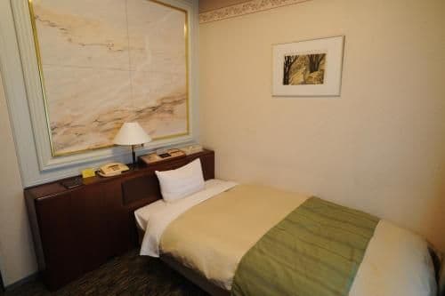Deluxe Single Room - Non-Smoking