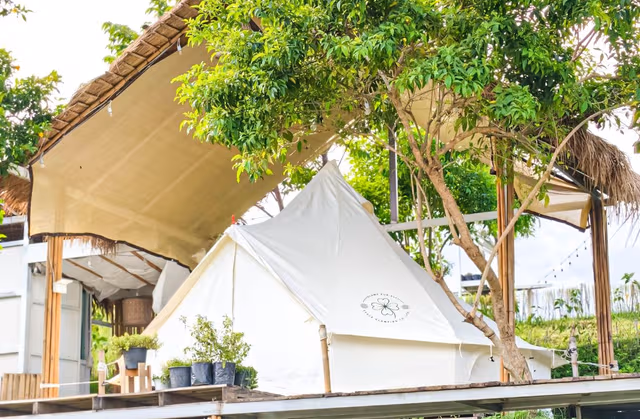 Safari camp