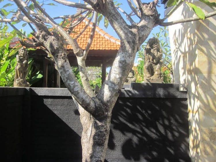 Gili Sari Homestay Gili Sari Homestay