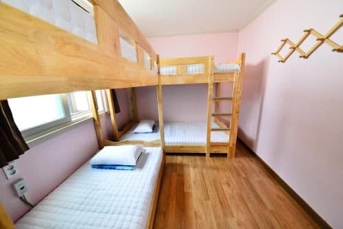 Bunk Bed in 4-Bed Female Dormitory Room