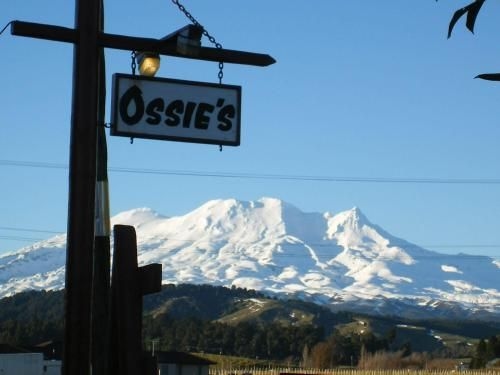 Ossies Motels and Chalets3