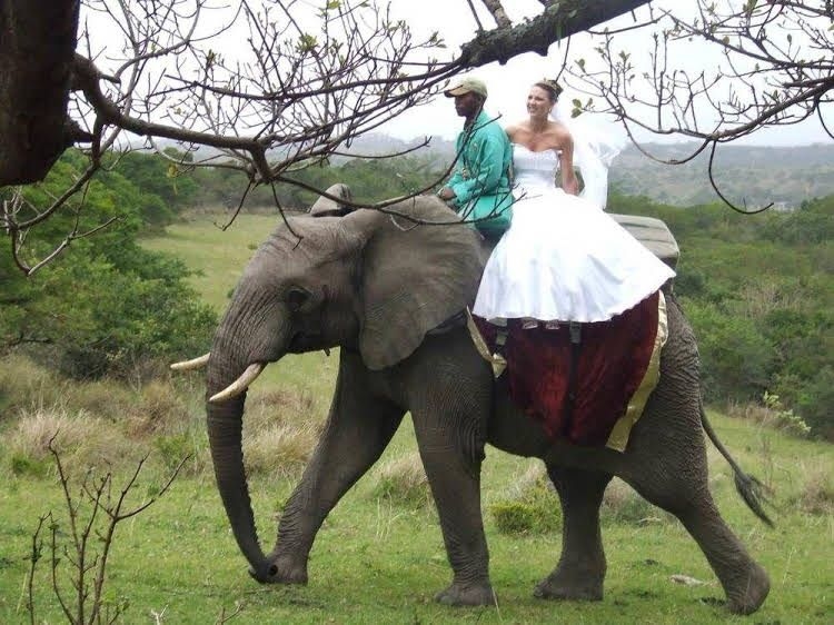 Inkwenkwezi Private Game Reserve3