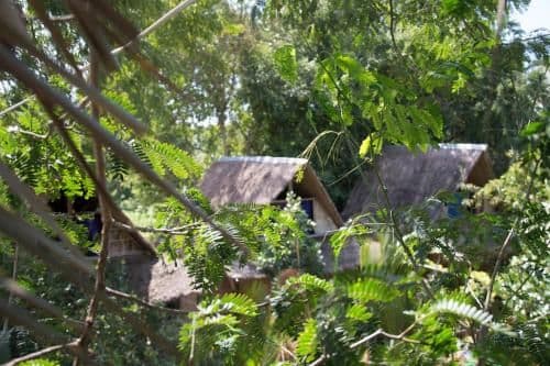 Bungalow with Shared Bathroom (Two Double Beds)