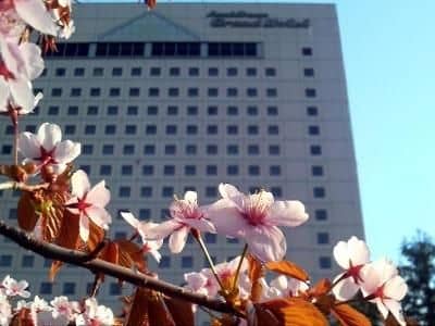 OMO7 Asahikawa by Hoshino Resorts OMO7 Asahikawa by Hoshino Resorts