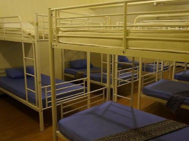 Best Bunk Beds Best Bunk Beds