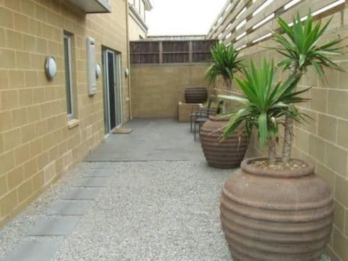 Tides Apartments-King Tide