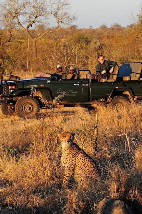 Cheetah Plains Private Game Lodge0