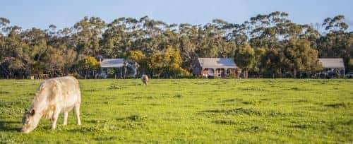 Freshwater Creek Cottages & Farm Stay Freshwater Creek Cottages & Farm Stay