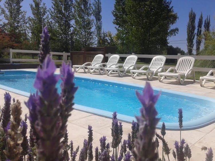 Villa Ciruelos0