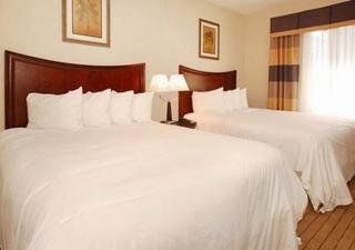 Comfort Suites Mobile4