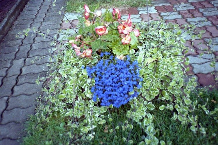 Ferienhaus Mohring3