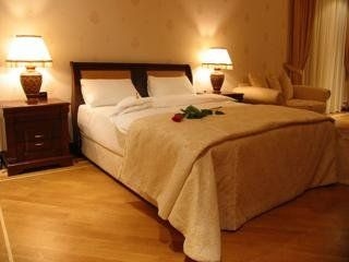 Ayf Palace3