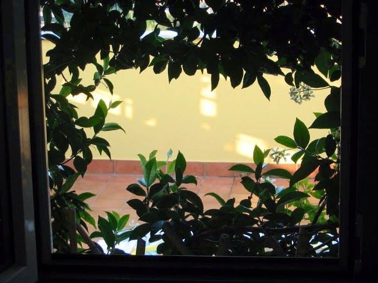 La Terrazza sul Mare4