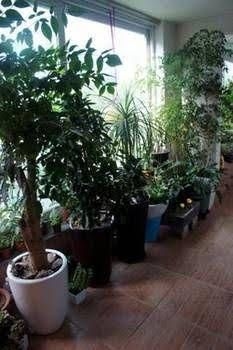 Denis's House4