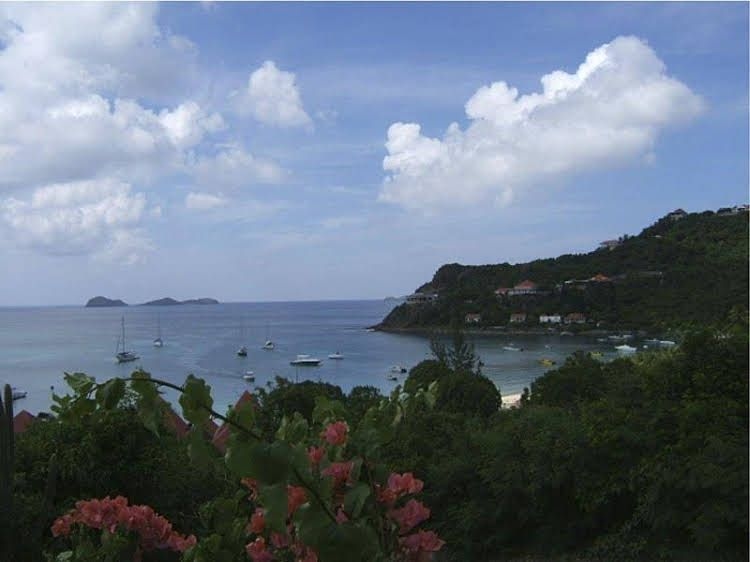 Tropical Hotel0
