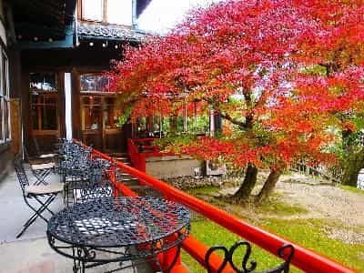 Nara Hotel