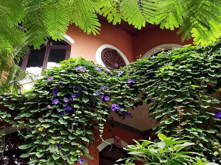 Anadu House Anadu House