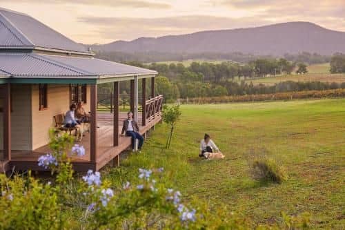 Hanging Tree Wines Hanging Tree Wines