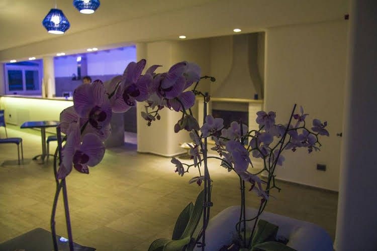 La Bella Trani - Suites and B&B0