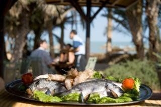 Odyssee Resort Zarzis Thalasso & Spa Oriental3